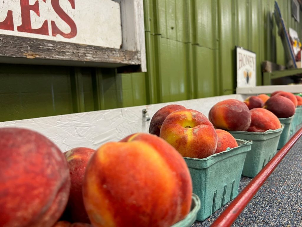 A shelf lined with green quart containers, each filled over the top with orange and yellow peaches.