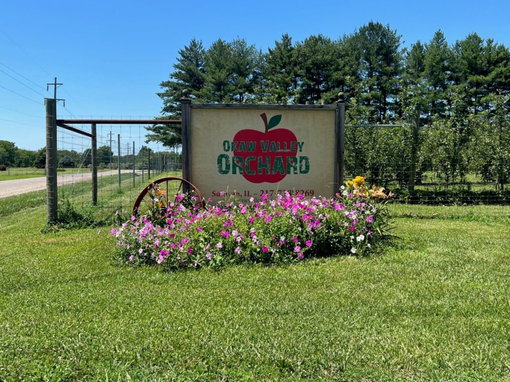 A wooden sign with a red apple in the cener, and the words Okaw Valley Orchard in green block letters. There are purple flowers in front of the sign, which sits in a grassy area in front of a wire fence.