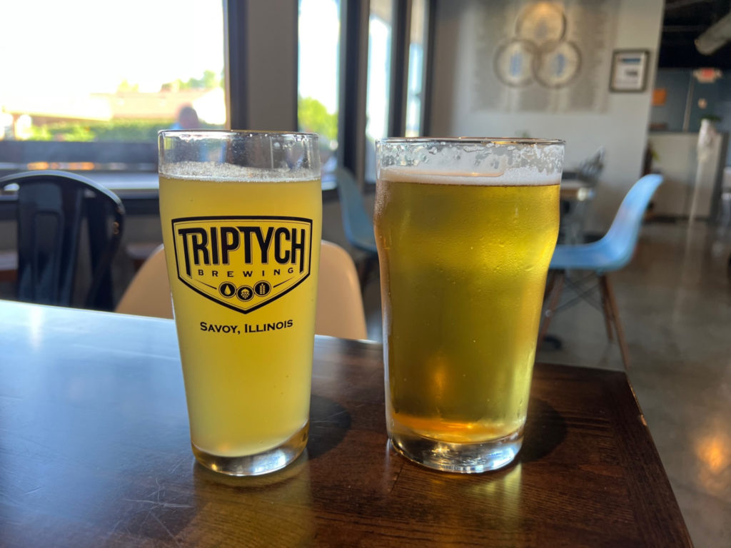 Two draft pours of light beer at Triptych Brewing in Savoy, Illinois. Photo by Alyssa Buckley.