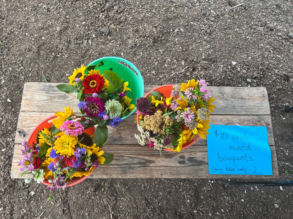 Looking down at a bench with buckets of a wide variety of flowers. With a blue piece of paper that says $10 small mixed bouquets (this table only)