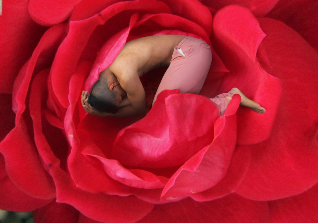 Marcus Flinn is shirtless and wearing pink pants; he is huddled into a ball on the floor with the camera coming from above. He appears to be in the center of a red flower. 