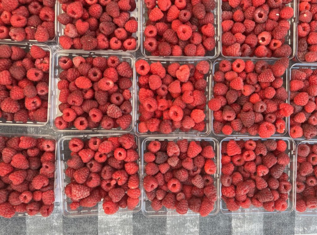 A variety of raspberries for sale by Ben & Molly's Farm. Photo by Alyssa Buckley.