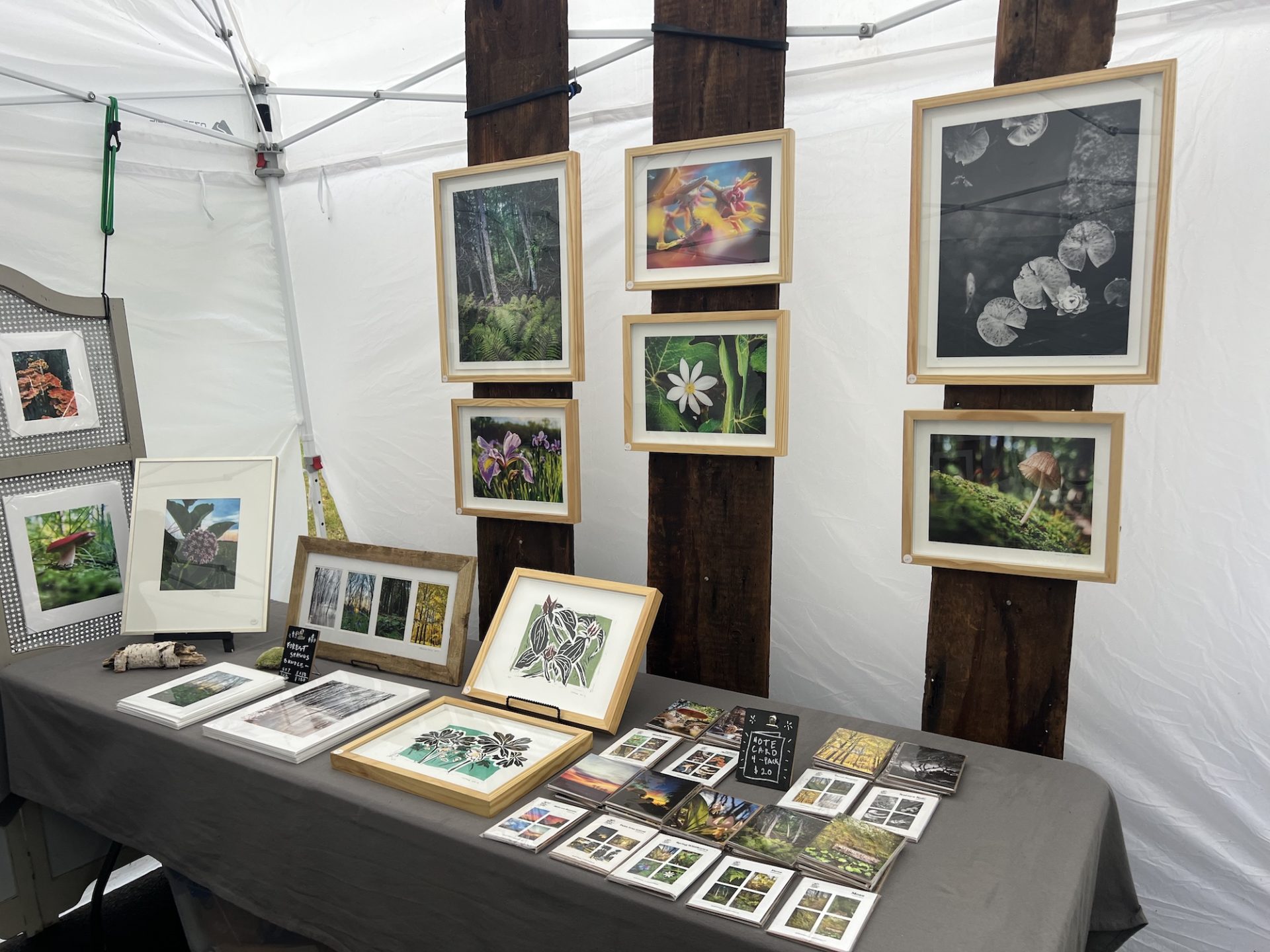 a selection of photography hangs in a tent and lays on the table. The photos are mostly close up nature shots of forests and flowers