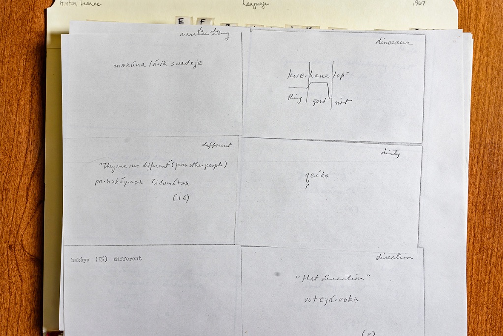 Language documentation (specifically words) of Havasupai by Leanne Hinton, 1967, Box 25 written in pencil on white paper