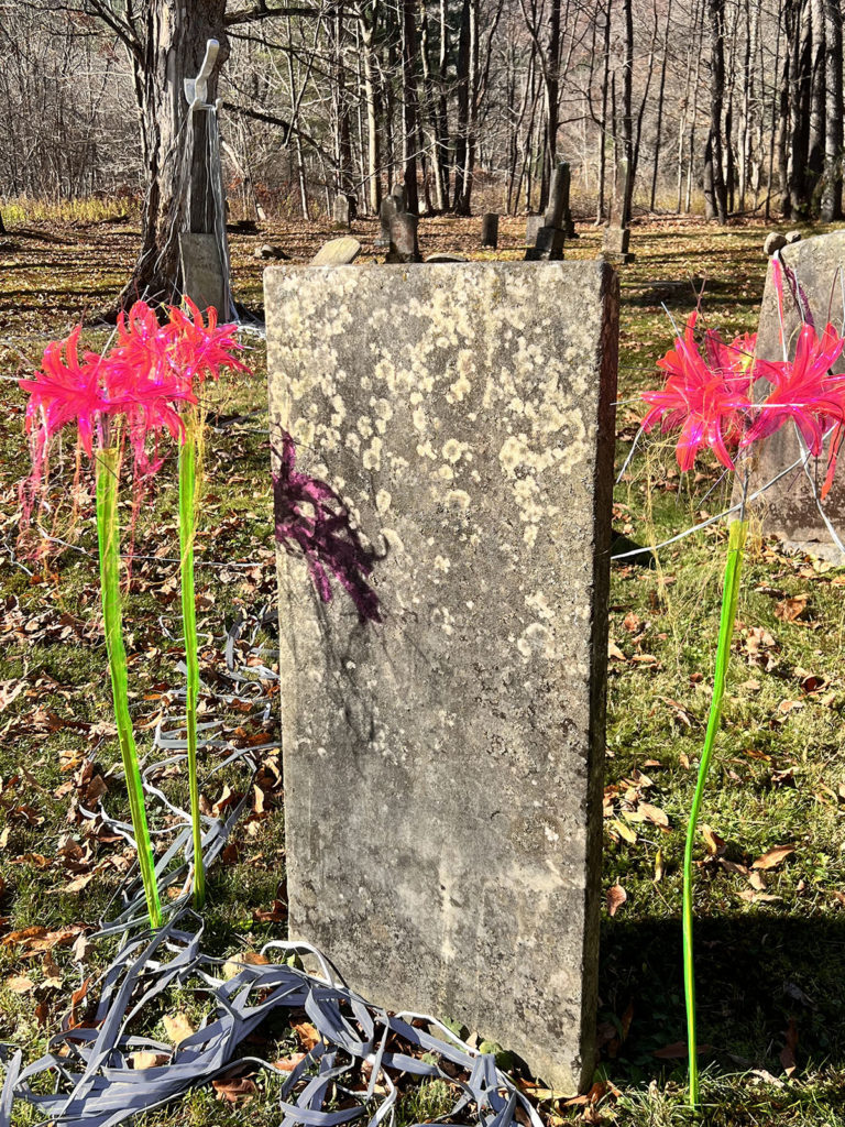 tall ghost lily sculptures are set in the ground next to a large stone piece in a forest. The sculptures have tall green stems and hot pink flowers