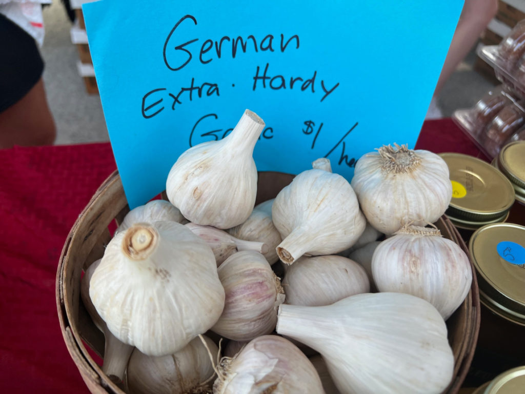 An overhead photo of garlic for sale at the farmers' market. Photo by Alyssa Buckley.