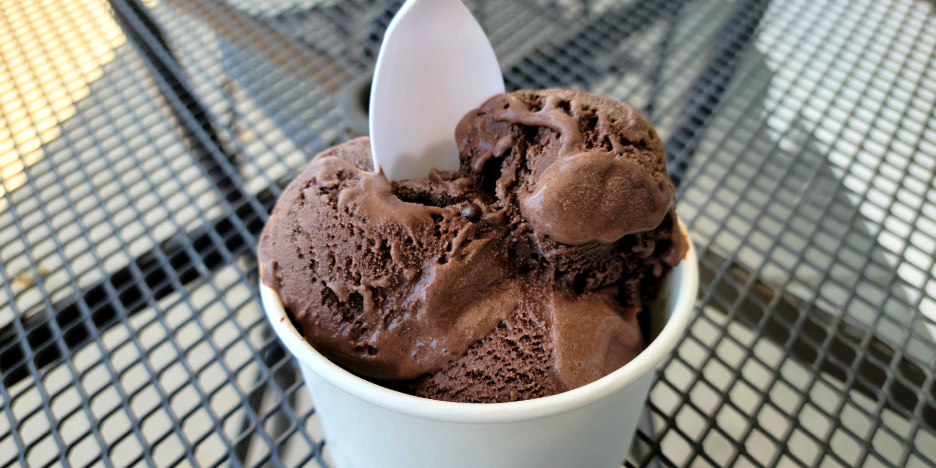 Chocolate ice cream densely packed into a cup from Grovestone. Photo by Matthew Macomber.