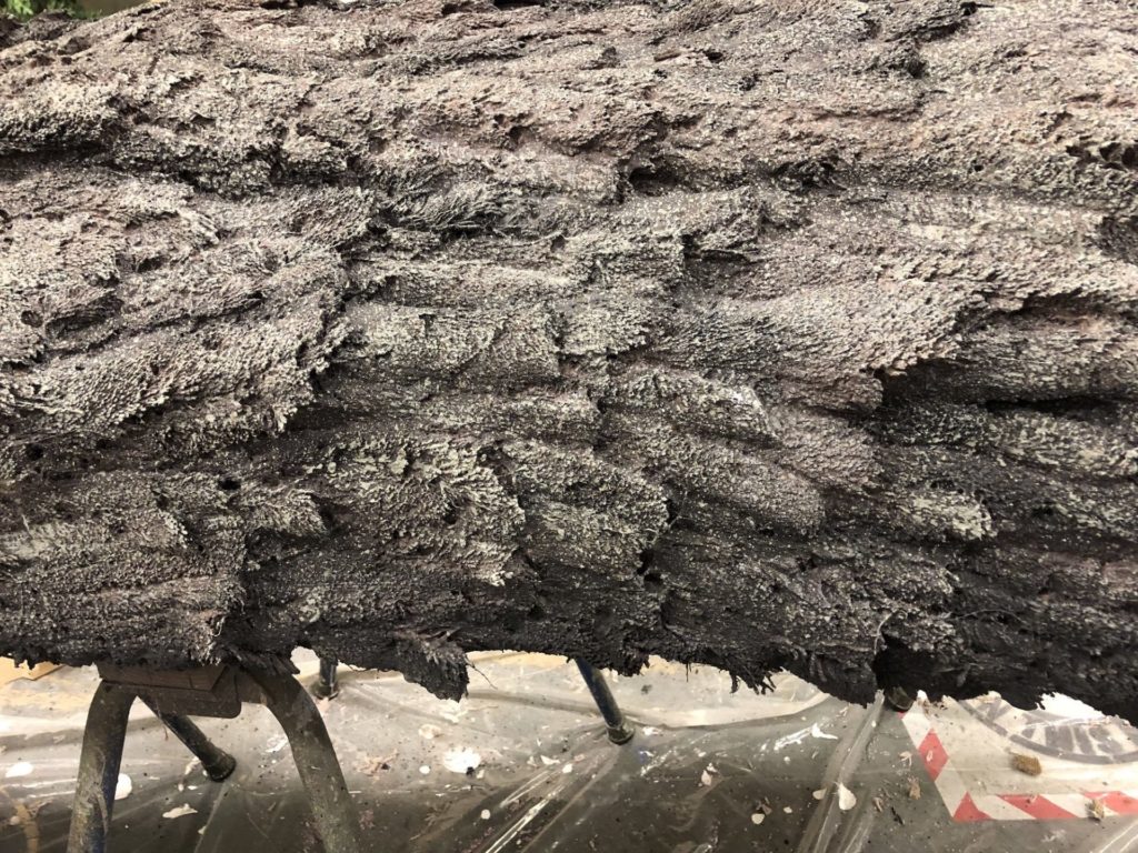 A close up of tree bark constructed for a theatre production