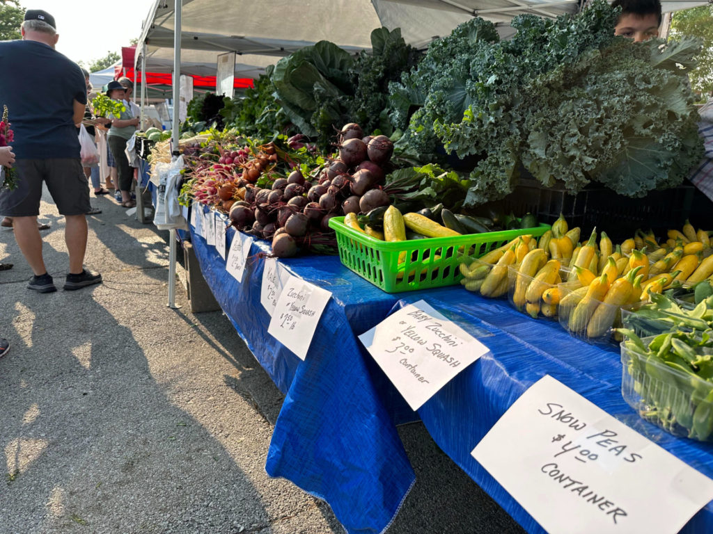 Produce lined up on the table at Moore Family Farm’s Urbana market stand. Pictured here is a row of produce on tables with blue tablecloths. On the left, patrons wait in line to purchase their produce. On the tables, there are daikon radishes, red radishes, golden beets, purple beets, kale, zucchini, yellow squash and snow peas. Photo by Jake Williams.