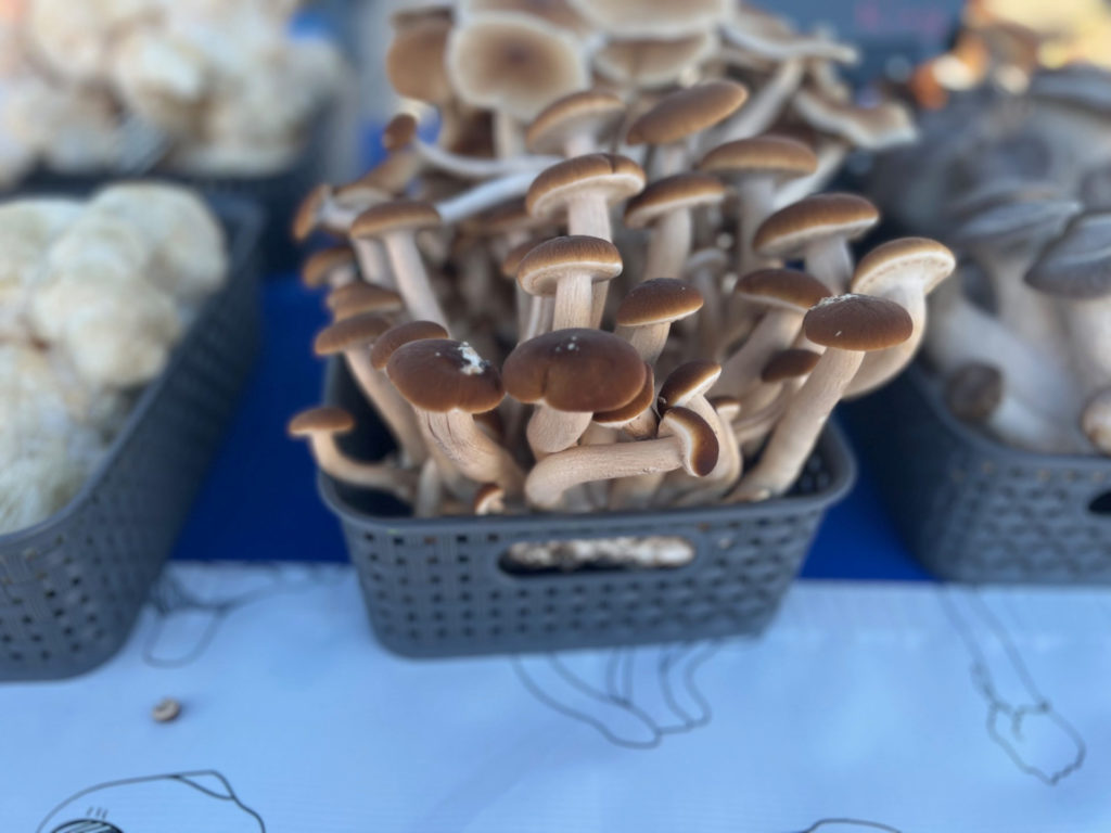 On a table, there are mushrooms for sale at the Urbana Market at the Square. Photo by Alyssa Buckley.