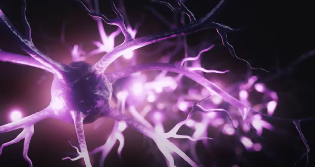 Digital visualization of brain synapses.