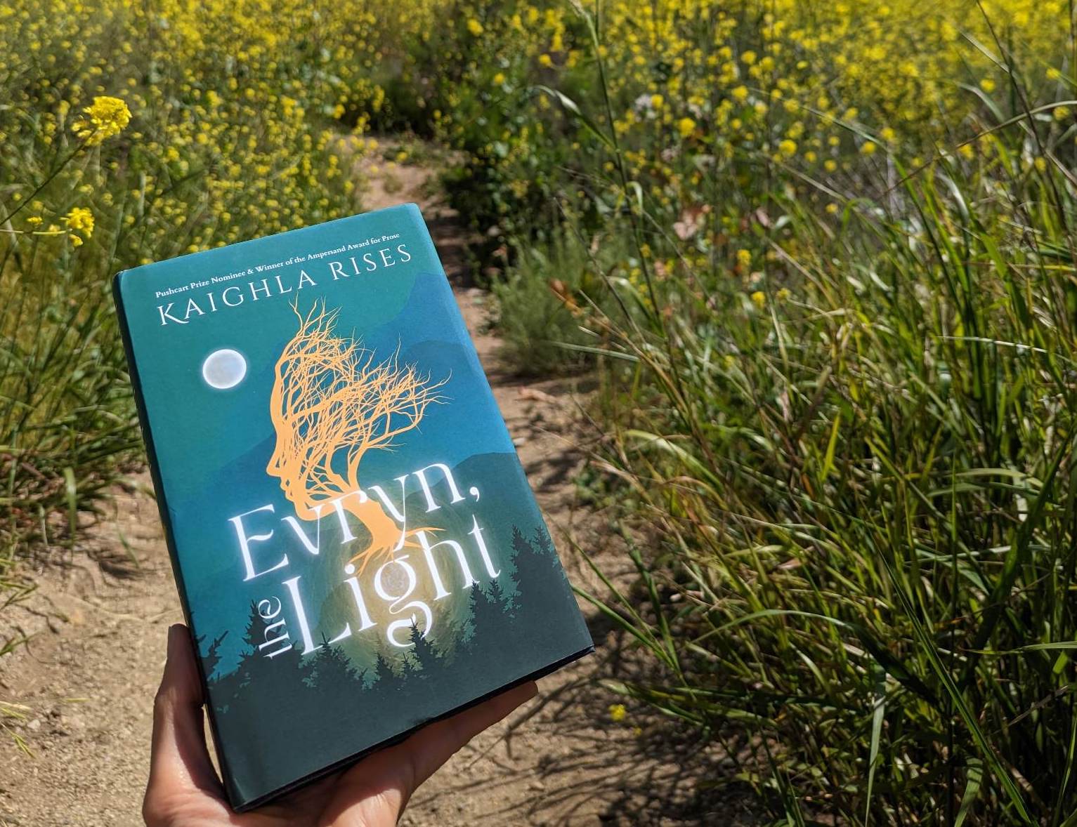 The cover of Evryn, the Light. The cover is turquoise and features an outline of the profile of a figure with tree branches extending as part of the head. The cover is being held with a backdrop of tall grass and greenery