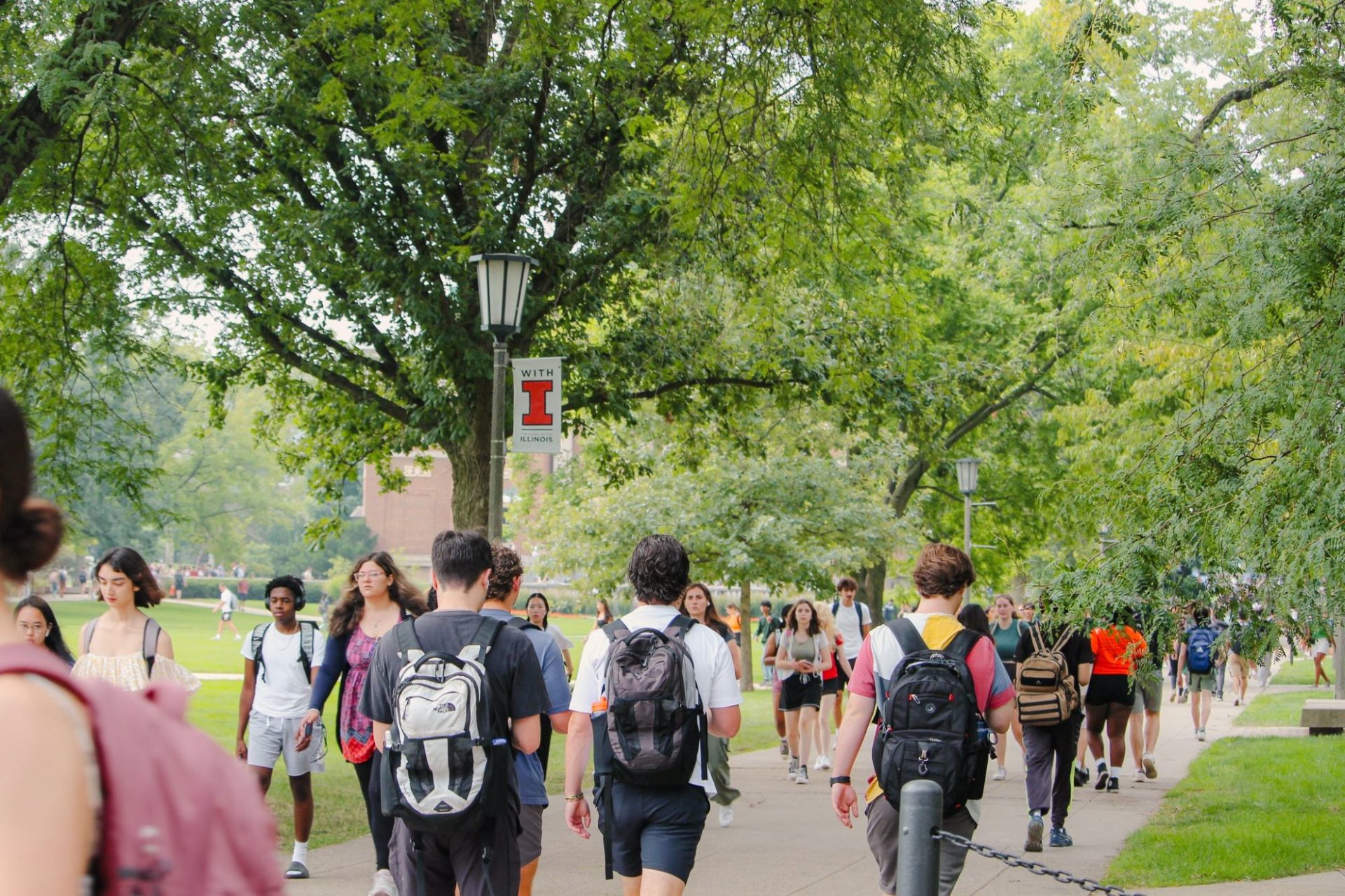 Students, many with backpacks, fill a sidewalk on the quad. The sidewalk is lined with trees.
