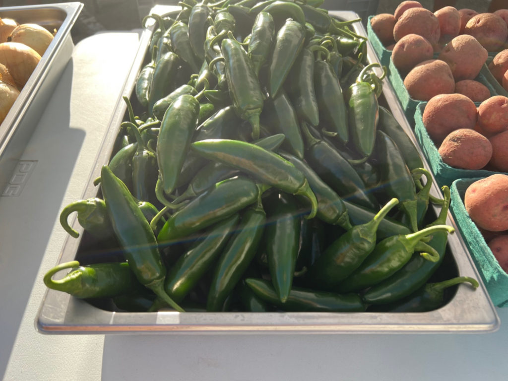 Jalapeno peppers from Twin Acre Farm at the Urbana farmers' market. Photo by Alyssa Buckley.