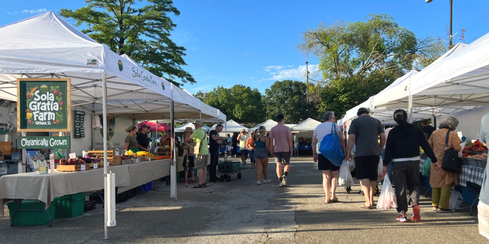 A cropped image of the farmers' market in Champaign-Urbana. Photo by Alyssa Buckley.