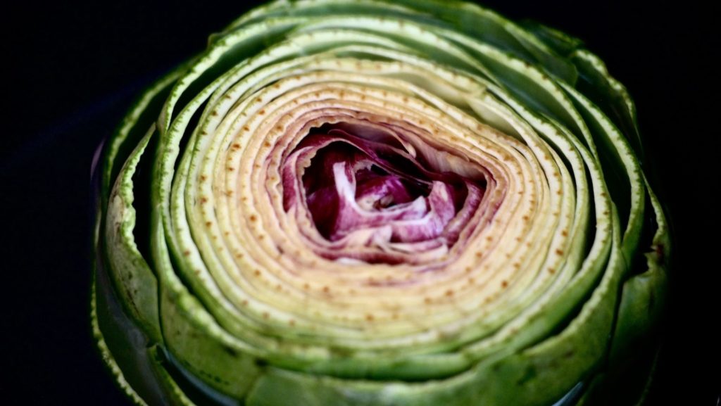 close up of an artichoke 