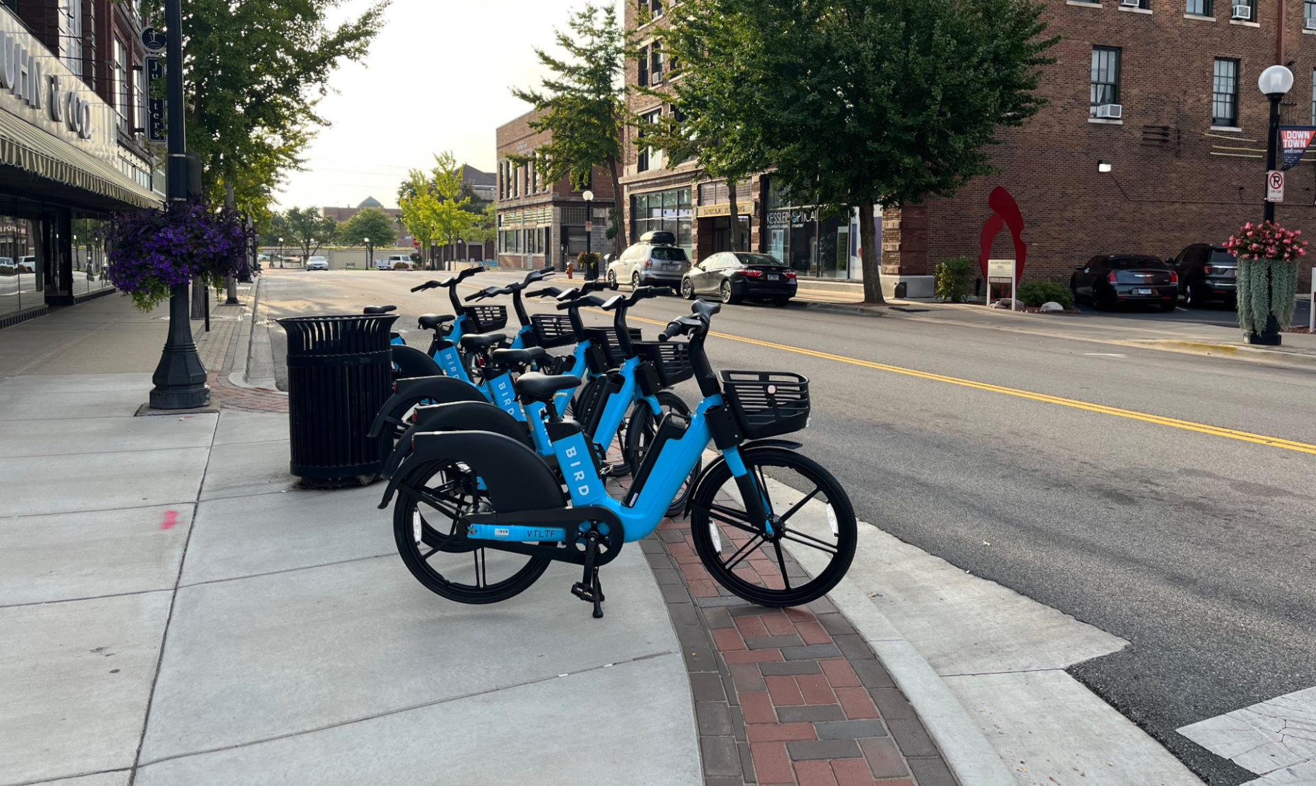 A line of blue and black e-bikes from the company Bird are parked on a street in Downtown Champaign.