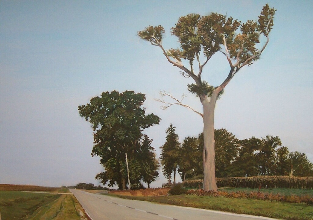 photo-realistic painting of a single sycamore with a blue sky 