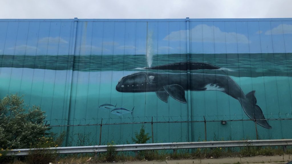 a whale is painted on the side of a building