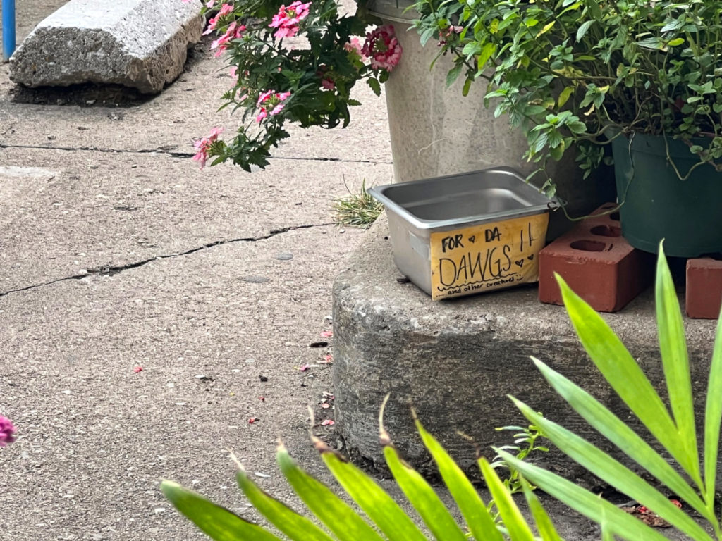 A small metal container with water "for da dawgs and other creatures" outside on the patio of Caffe Paradiso.