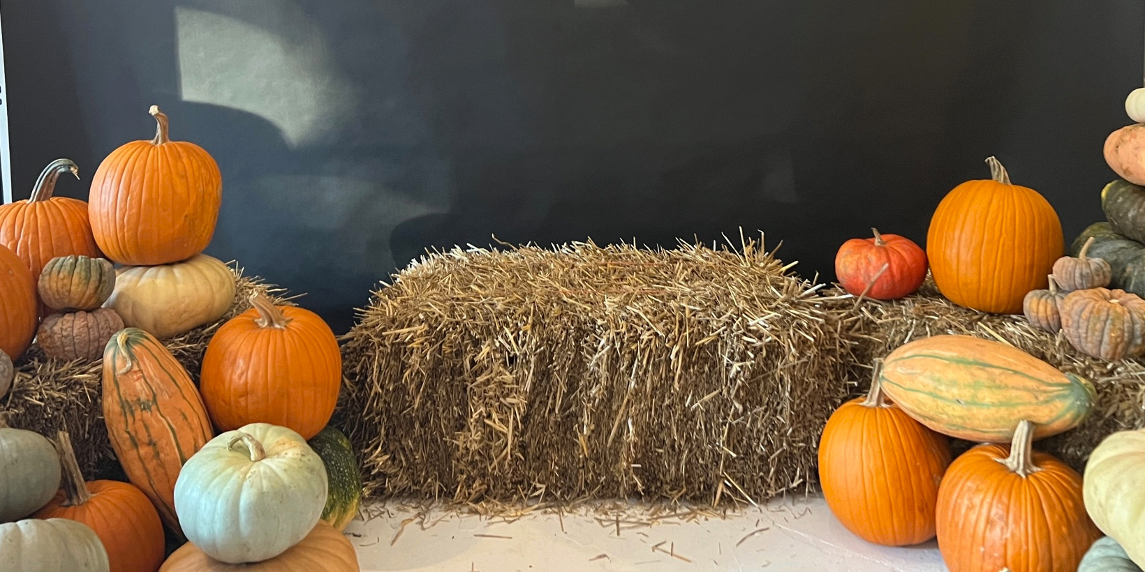 At The Land Connection's fundraiser, there is a bale of hay beside groups of pumpkins in varying sizes and colors for a Harvest Dinner.
