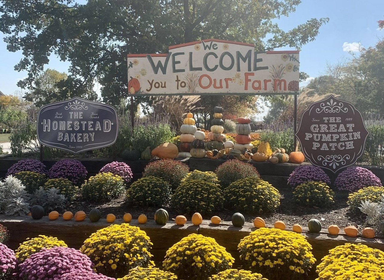 A display of pumpkins and mums surrounds a wooden sign that says Welcome to Our Farm.