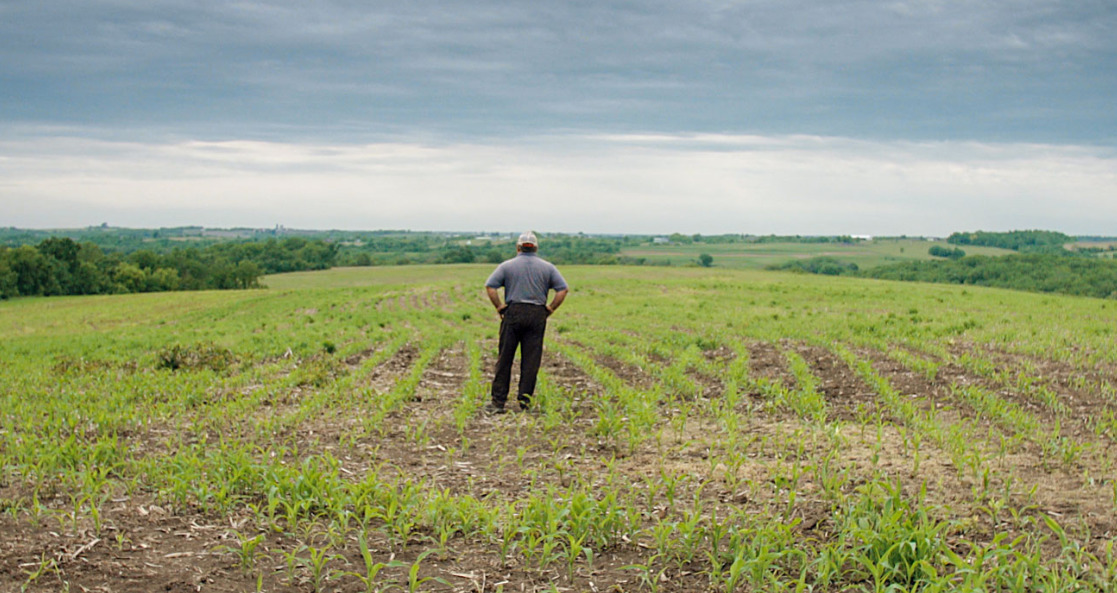 A man stands in the middle of an expansive corn field, with plants just beginning to sprout. The sky is gray and overcast.