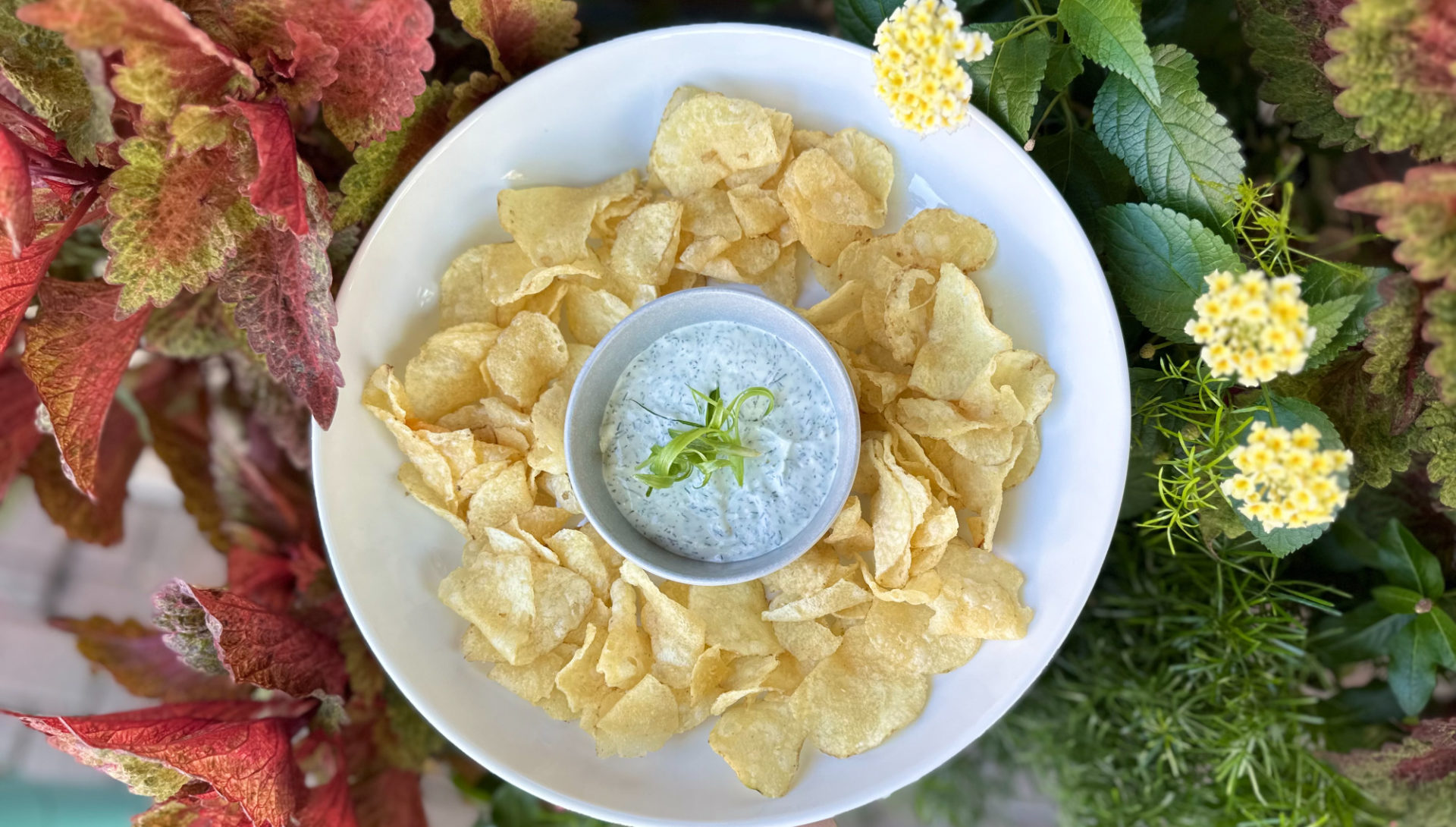 A photo of the dill dip at The Literary Kitchen in Downtown Champaign.