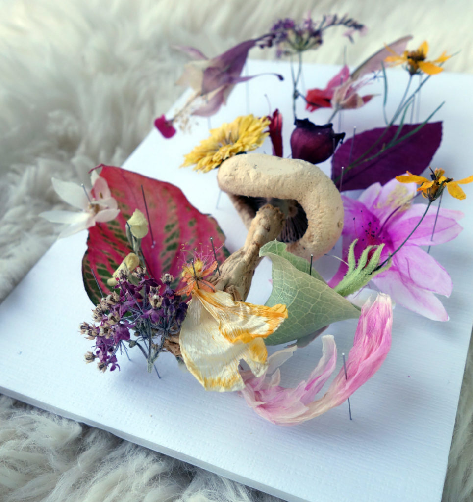 mushrooms and flowers laid on a white canvas
