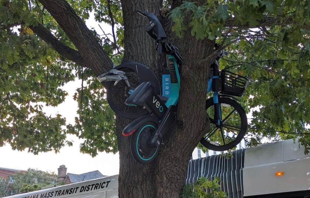 Two e-bikes are wedged in between two branches of a tree.