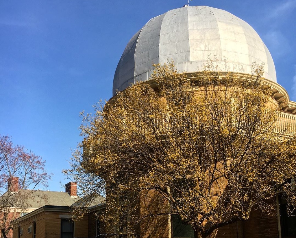 A white dome on top of a brick building with a tree with yellow leaves. There is a blue sky behind them.