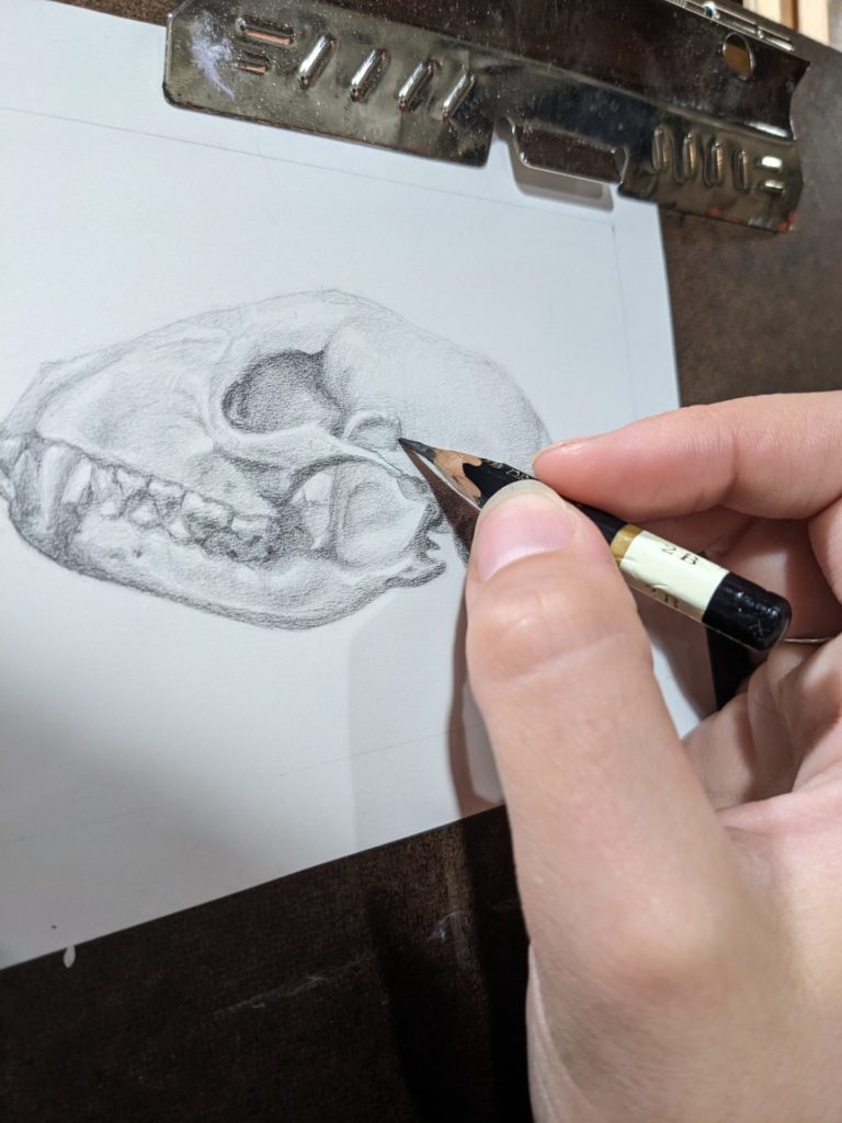 A white hand draws a skull on paper