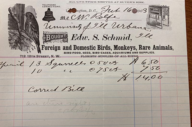 A receipt from 1903 for the purchase of campus squirrels.
