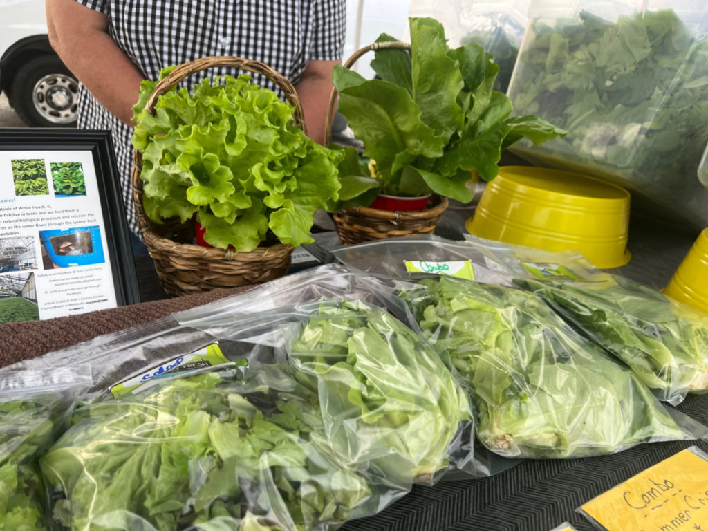 Lettuce for sale at the Urbana Market at the Square