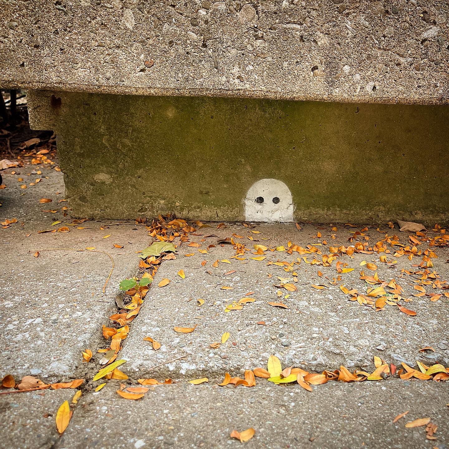 A small white ghost with black eyes is painted on the base of a cement bench, looking like it's peeking up from the ground.
