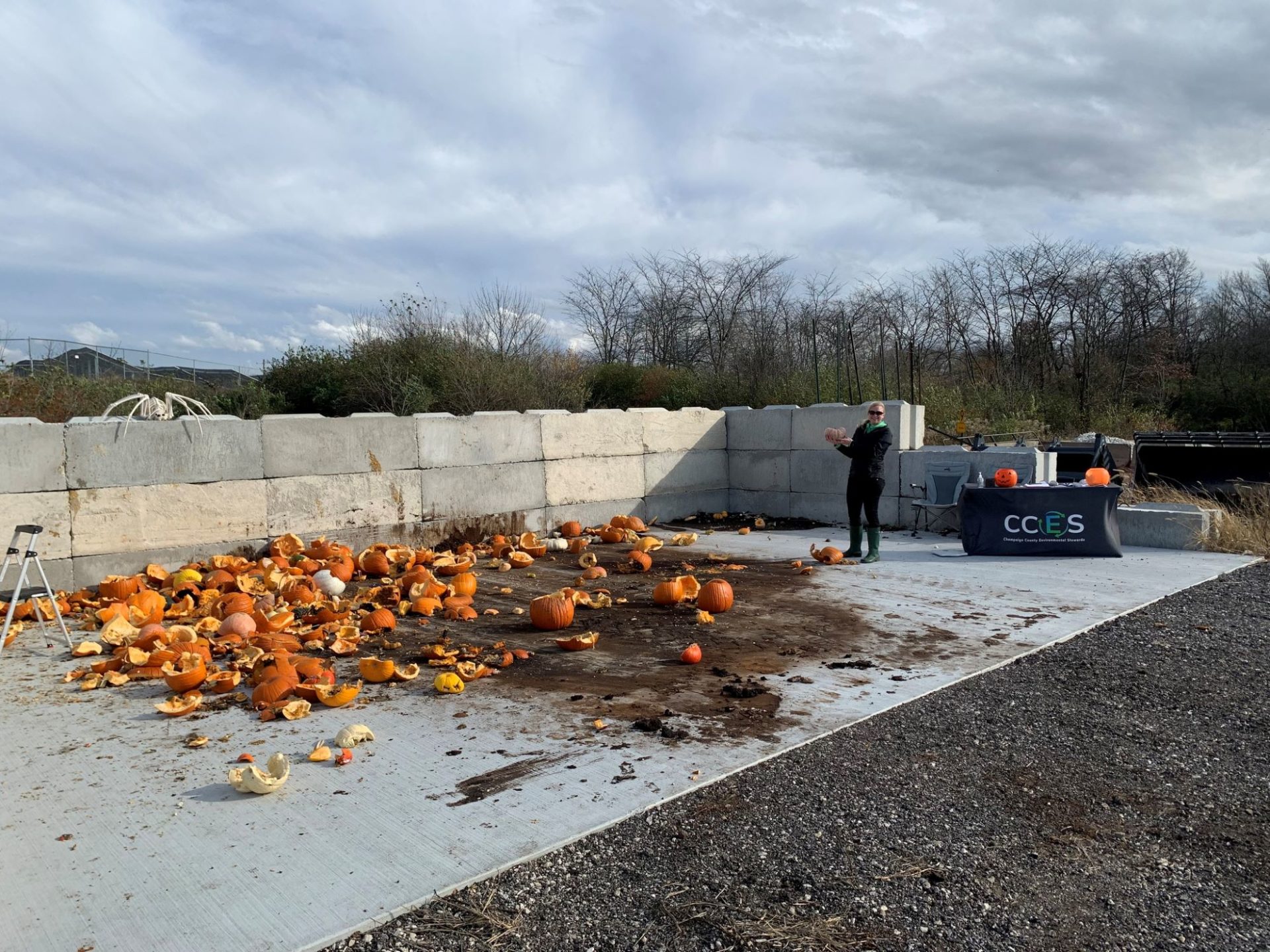 Hundreds of pumpkins are smashed in a pile on a large slab of concrete.