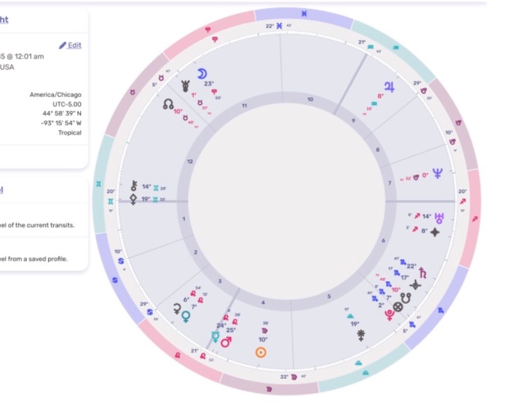 A birth chart, it is a light purple circle with little symbols on the outside edge. Also colored lines of pink, purple, and green on the outside rim. 