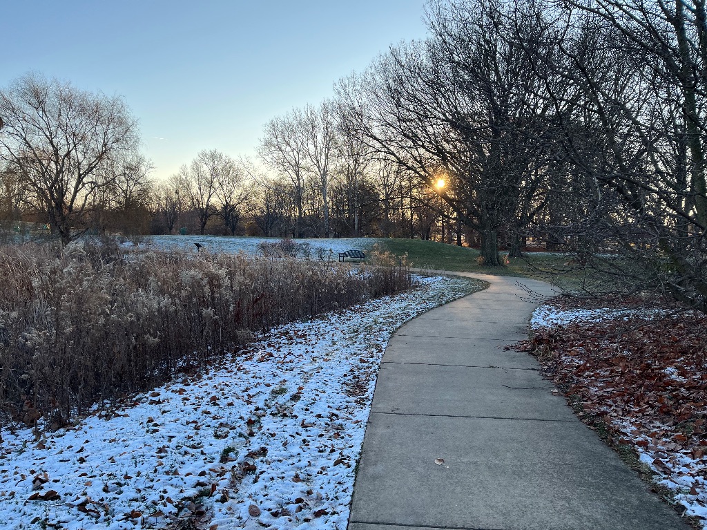 A curving cement path going through a park. Ahead is a forested area The sun is shining, sky is blue, and there is snow just visible on the ground on a carpet of fallen tree debris. .