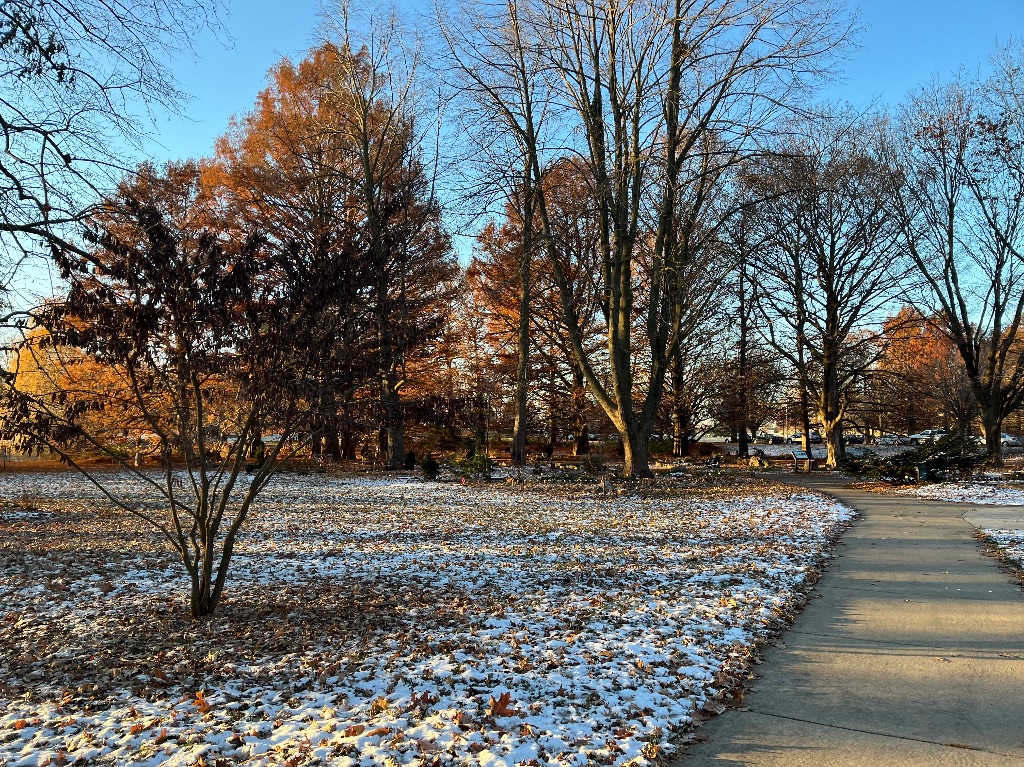 A curving cement path going through a park. Ahead is a forested area The sky is blue, and there is snow just visible on the ground on a carpet of fallen tree debris. .
