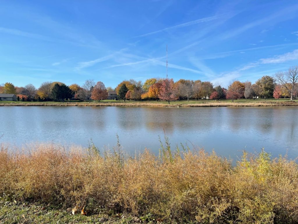 Heritage Park pond. In the foreground, yellow-green brush. Across the pond, late fall trees with leaves of gold, red, and gray. The sky is very blue with few wispy clouds.