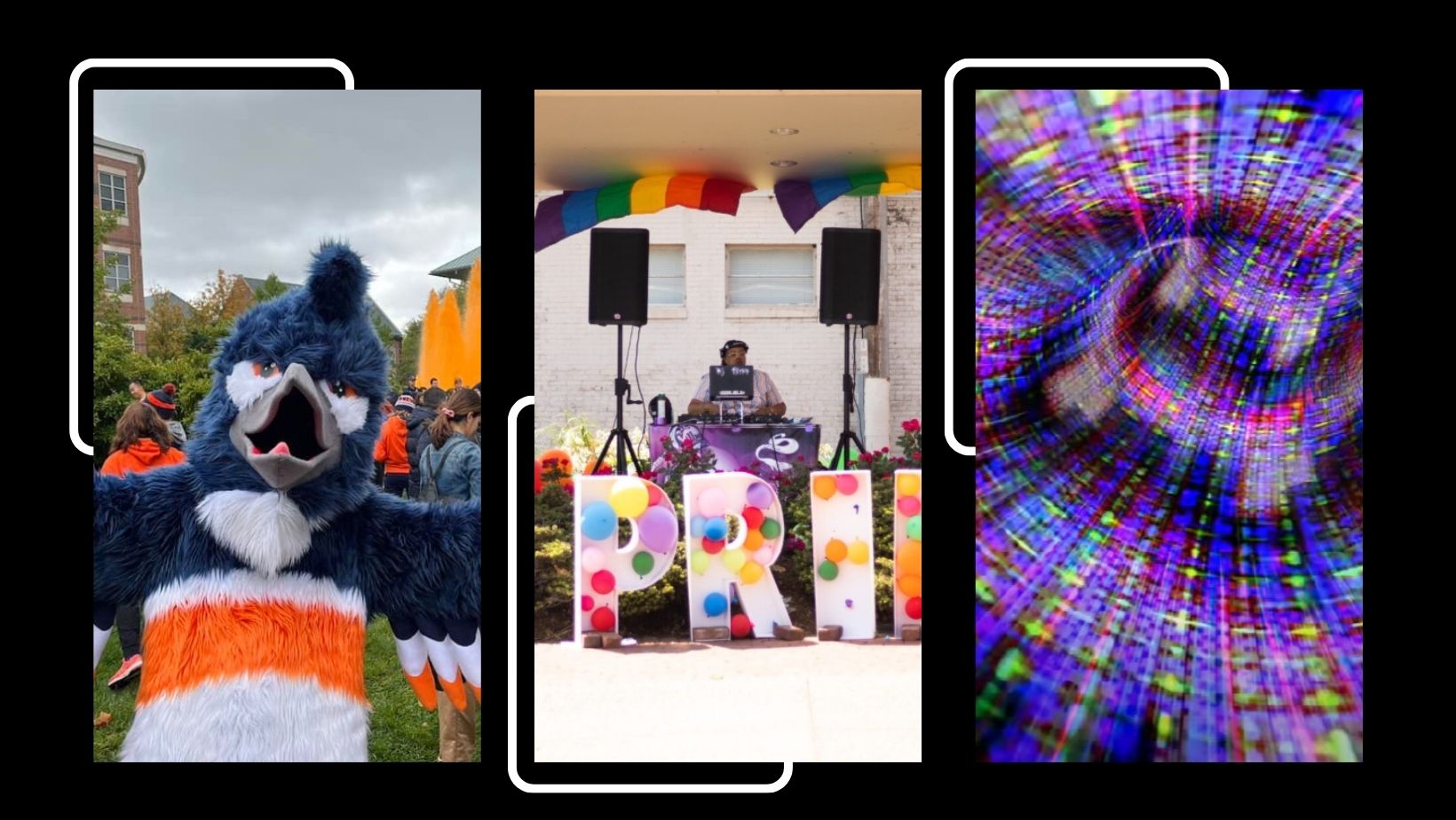 A collage of three photos, left to right: Kingfisher, a DJ at a pride event, and a quantum network image