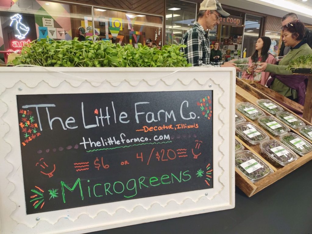 A chalkboard sign with a white fram that says The Little Farm Co is positioned at the corner of a table with a display of microgreens.