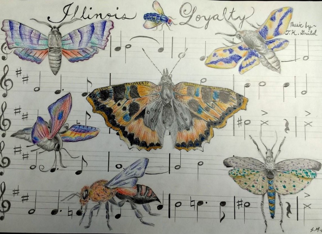 a drawing of sheet music with colorful butterflies, moths, and wasps over the music notes.