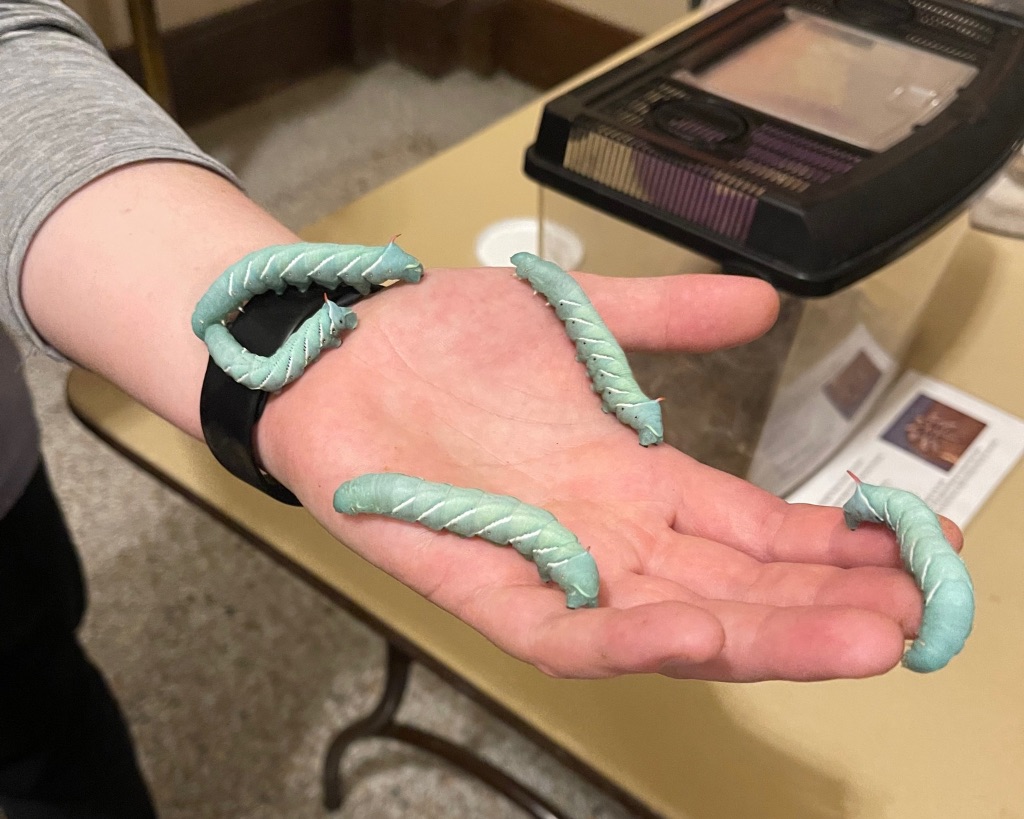 A white hand holds four giant green worms that appear to be crawling up their wrist.