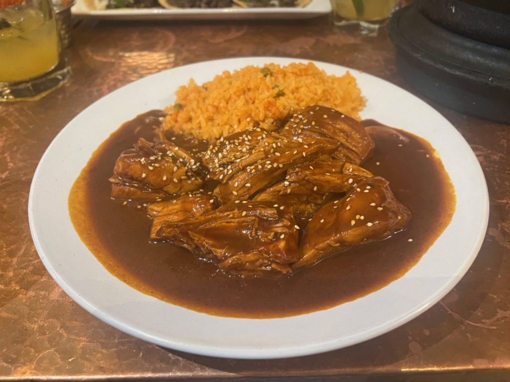 A large round white plate with chunks of chicken and a small pile of rice. It's covered in a dark reddish sauce.