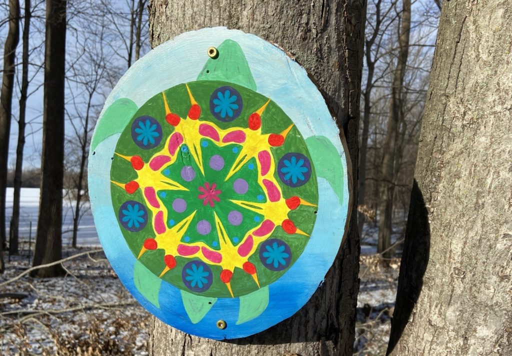 A round disc of wood painted to look like a turtle with a brightly colored shell. It's fixed onto a tree trunk.