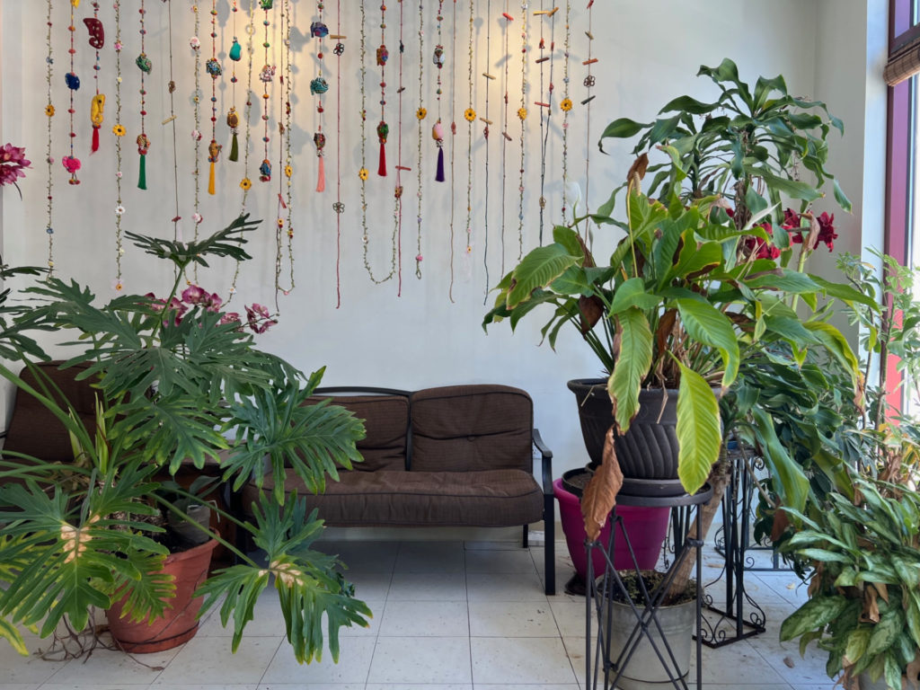 The interior of Basil Thai restaurant in Urbana, Illinois has live plants and strings of colorful trinkets.