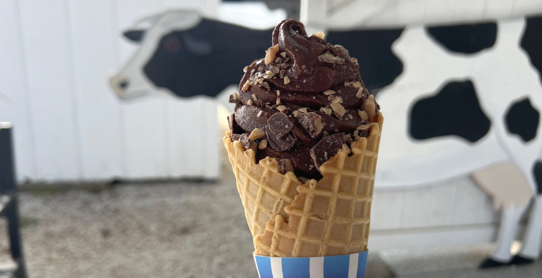 A chocolate ice cream cone from Sidney Dairy Barn.