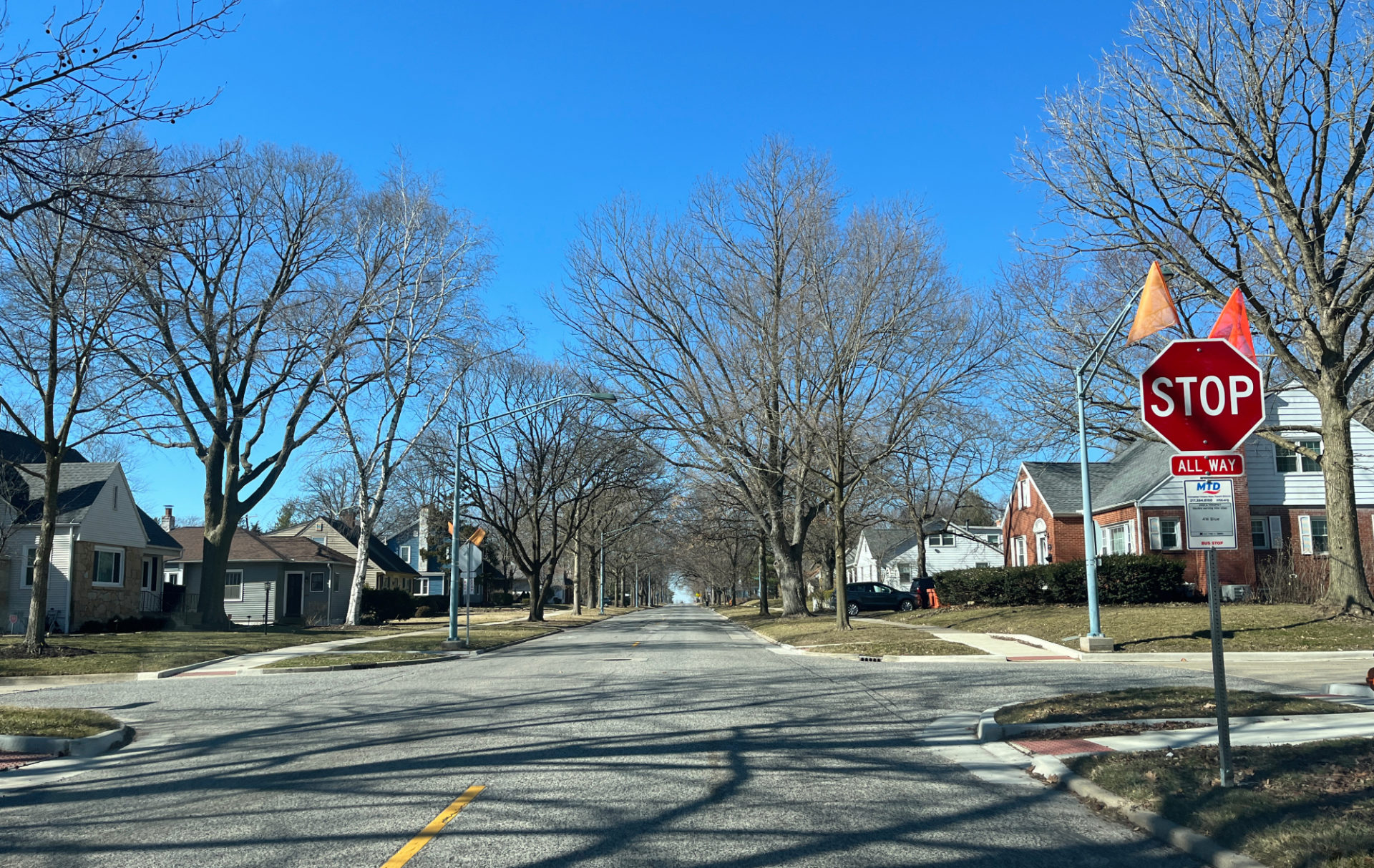 Intersection of John and McKinley in Champaign, looking west on John Street. There is a stop sign on the right, with orange flags atop the sign. The intersection is empty, the trees are bare, and the sky is very blue.