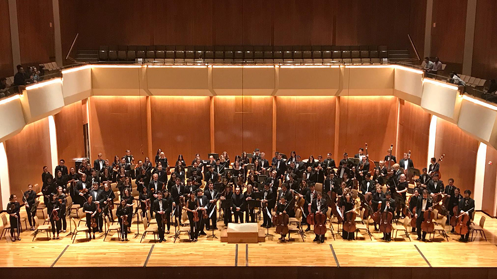 The image shows a large symphony orchestra assembled on stage, ready for a performance. The musicians, all in formal black concert attire, are holding their instruments, which include violins, violas, cellos, double basses, woodwinds, brass, and percussion. The stage features wood-paneled walls and flooring, which provide a rich, warm aesthetic typical of traditional concert halls. The orchestra members are standing, indicating this may be taken either at the beginning or the end of a concert, or possibly during a standing ovation. The well-lit stage and the orderly arrangement of the musicians suggest a formal and professional setting.